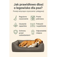 Jak prawidłowo dbać o legowisko dla psa?