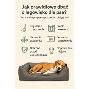 Jak prawidłowo dbać o legowisko dla psa? Porady dotyczące czyszczenia i pielęgnacji