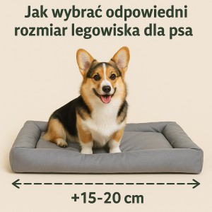 Jak wybrać odpowiedni rozmiar legowiska dla psa?